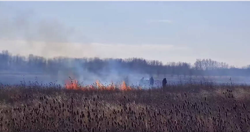 23 de incendii de vegetatie uscata au parjolit 24 de hectare de teren | imaginea 1