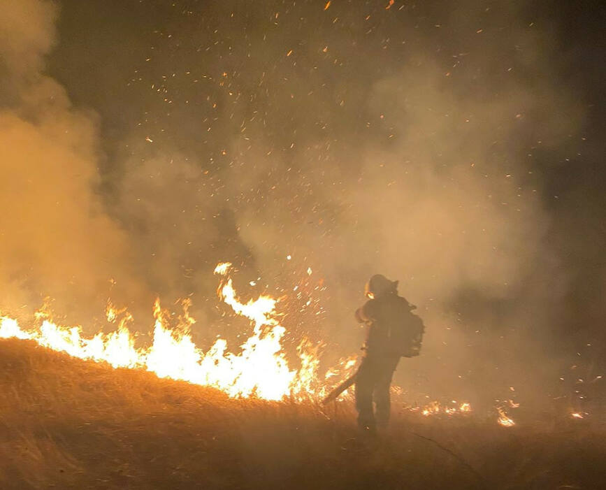 50 de hectare de teren afectate de incendii de vegetatie | imaginea 1