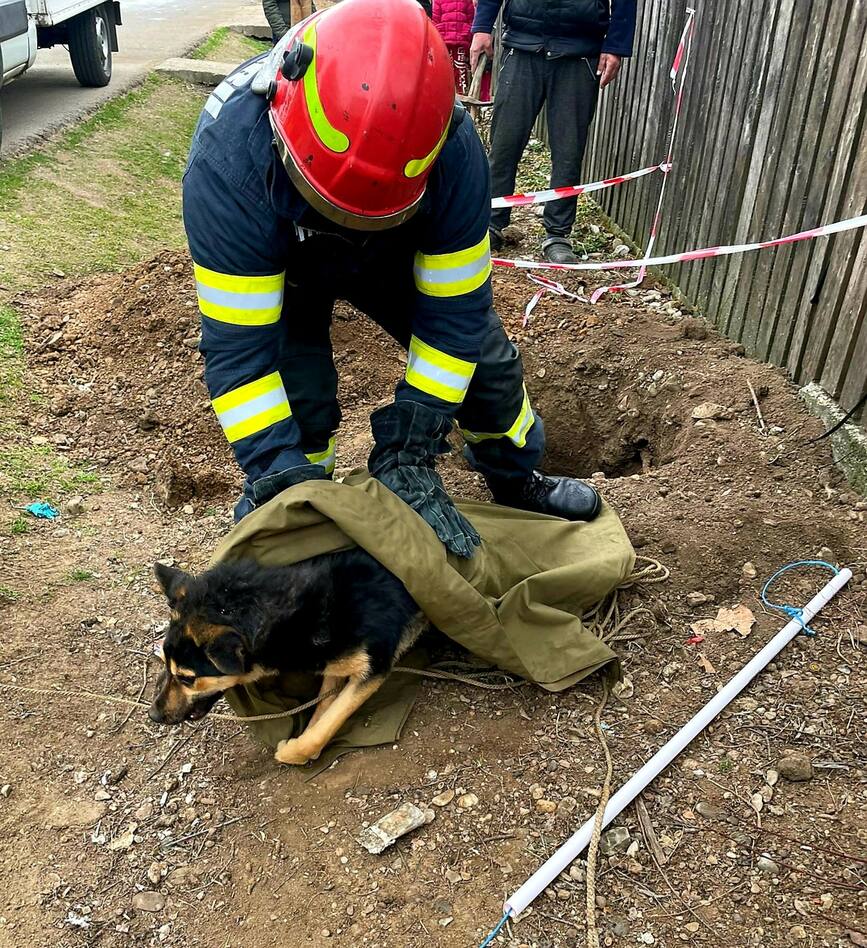 Salvat dintr o groapa adanca de 2 metri | imaginea 1