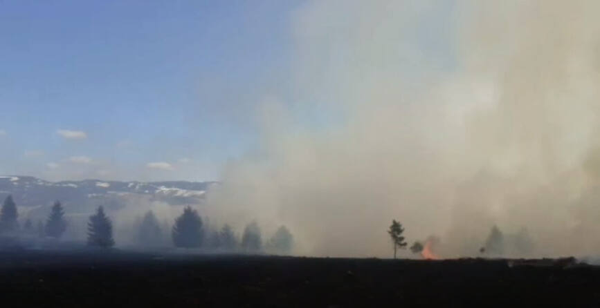120 de hectare de vegetatie uscata au ars in zona Dealul Goii | imaginea 1