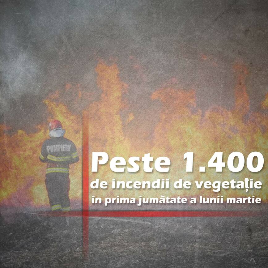 Peste 1400 de incendii de vegetatie  in prima jumatate a lui martie | imaginea 1