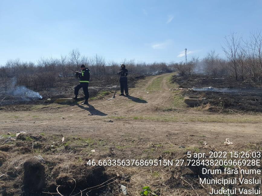 17 case si 25 anexe  salvate de pompierii vasluieni | imaginea 1