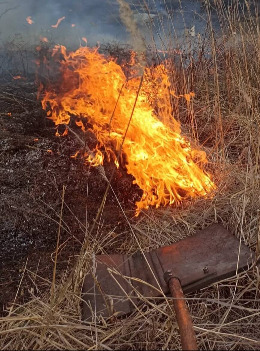 O femeie si a pierdut viata intr un incendiu de vegetatie uscata | imaginea 1