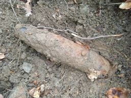 Proiectil de artilerie  descoperit de un detectorist in padurea Aghires | imaginea 1