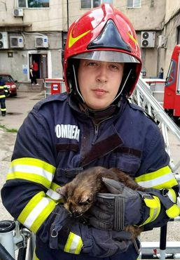 Pisica salvata de la o inaltime de 15 metri | imaginea 1