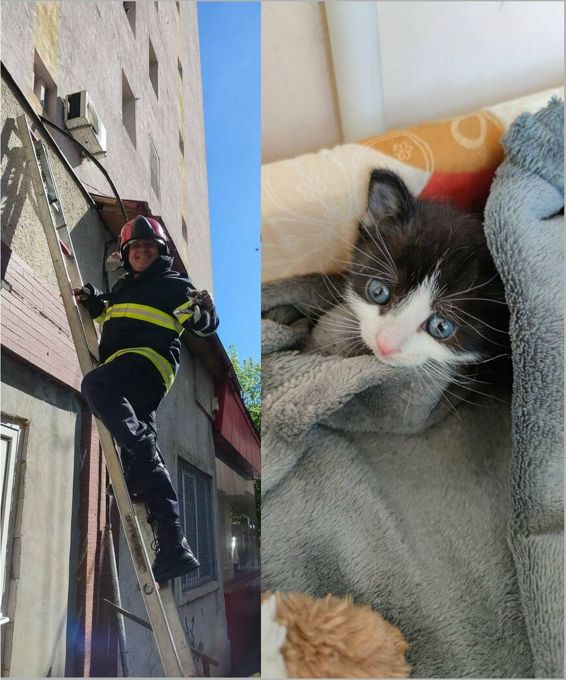 Un pui de pisica salvat de pompierii vranceni | imaginea 1