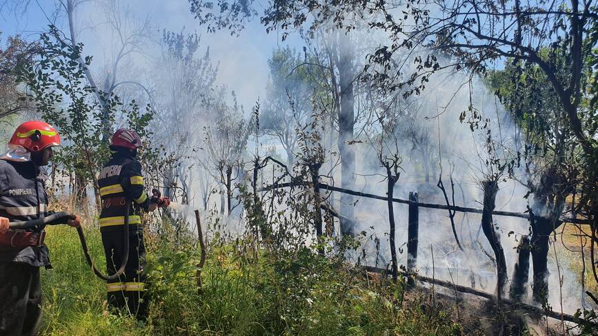 Arderea vegetatiei uscate s a lasat cu o victima | imaginea 1