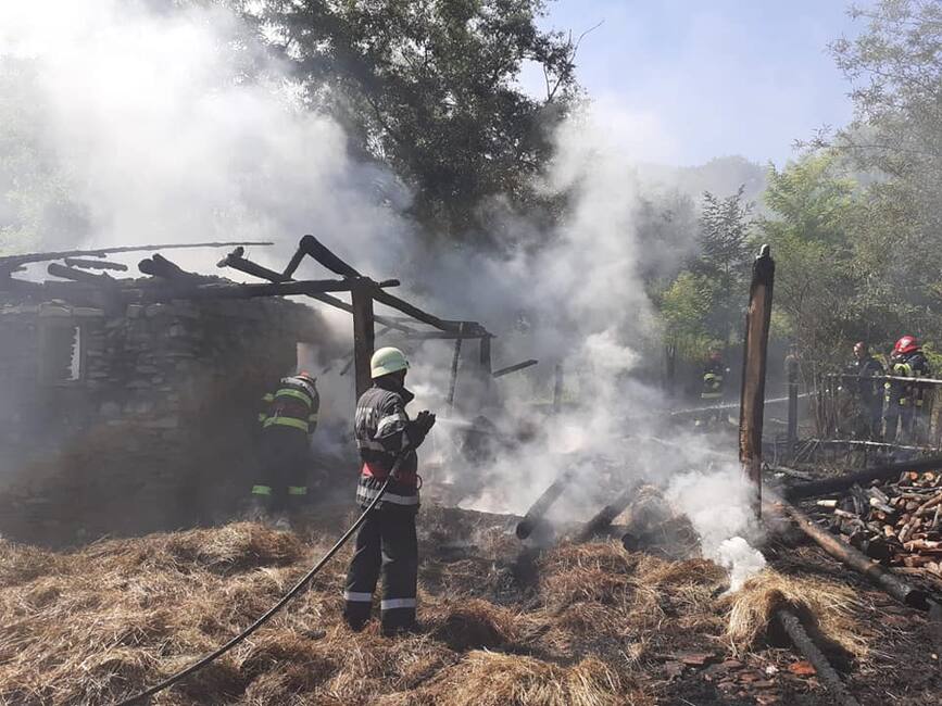 Un rest de tigara a provocat un incendiu la un adapost de animale | imaginea 1