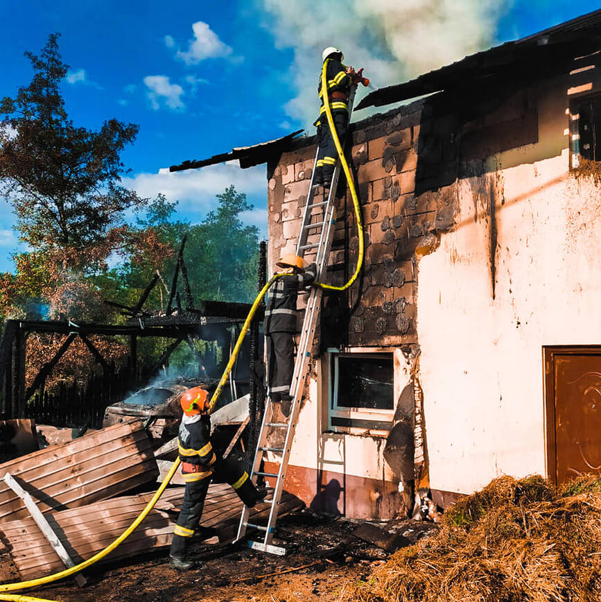 Incendiu intr o gospodarie damboviteana   Animale evacuate din grajd | imaginea 1