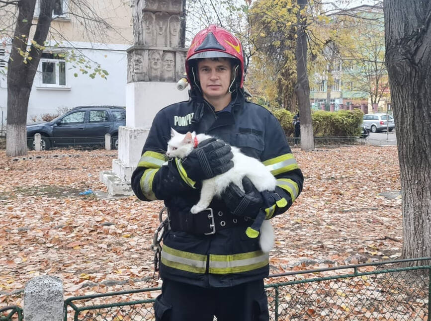 O varstnica si pisicile ei au fost salvate dintr un incendiu | imaginea 1