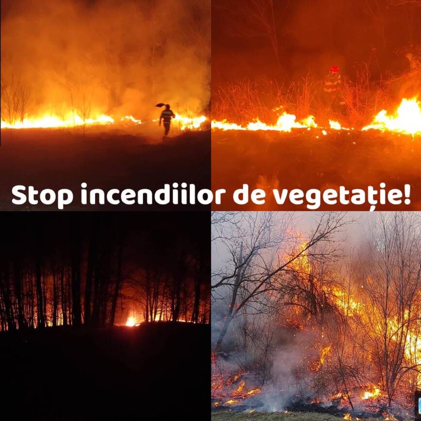 22 de incendii de vegetatie in 3 zile | imaginea 1