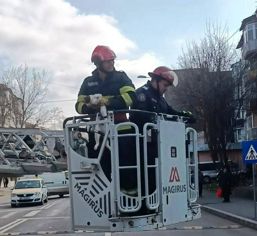 Pisica miorlaia dupa ajutor  iar salvatorii nu au ezitat sa o ajute | imaginea 1
