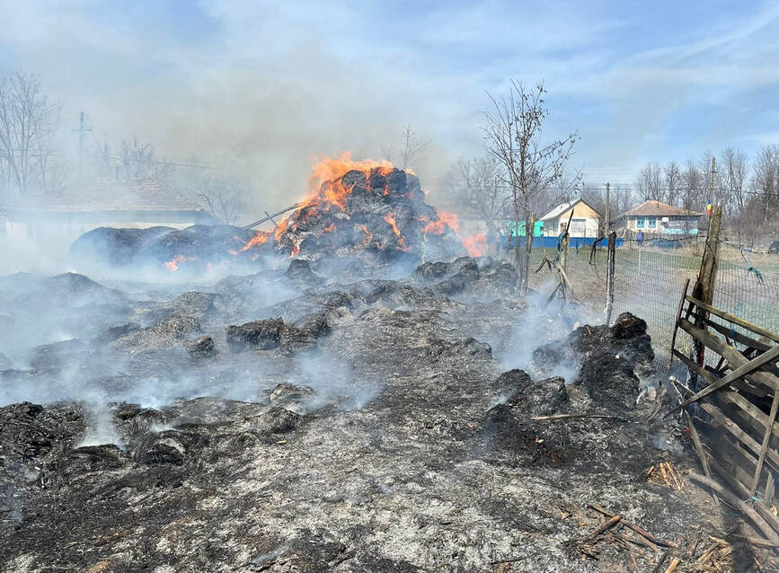 Tone de furaje si vegetatie uscata au ars in urma a trei incendii | imaginea 1