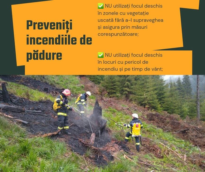 Incendiu pe raza fondului forestier din zona muntelui Deleanu  judetul Dambovita | imaginea 1