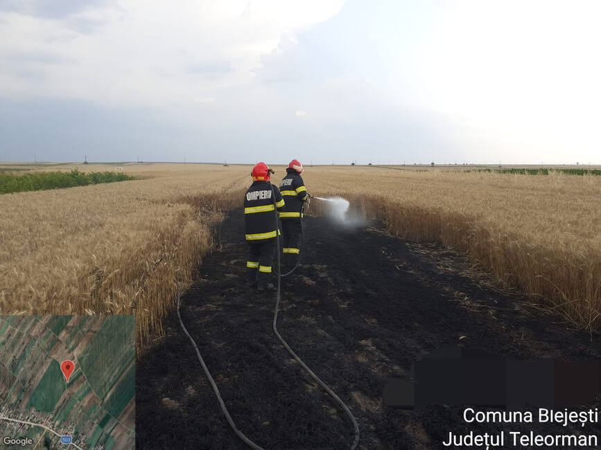 Pompierii militari teleormaneni au salvat mai multe culturi agricole | imaginea 1