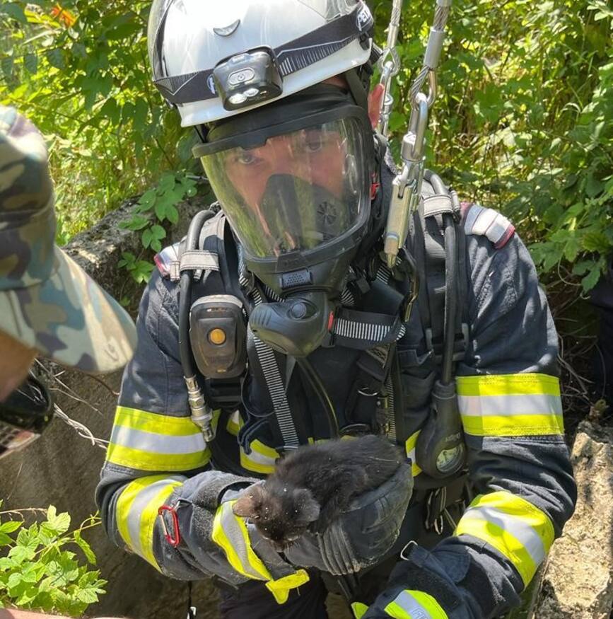 Pompierii oraviteni au coborat intr o fantana adanca pentru a salva o pisica | imaginea 1