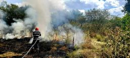 15 incendii de vegetatie uscata au avut loc in judetul Giurgiu | imaginea 1