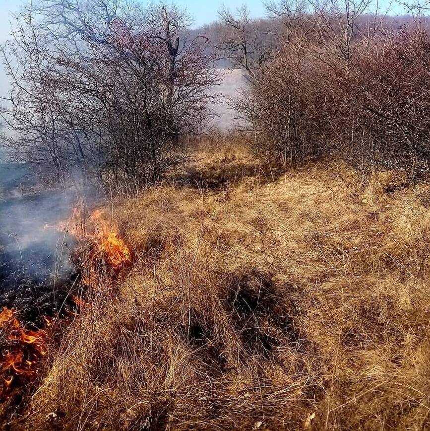 A suferit arsuri in urma unui incendiu de vegetatie uscata | imaginea 2
