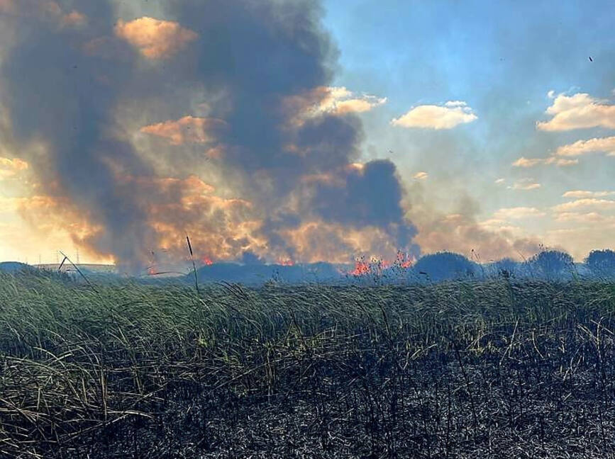 Incendiul din Delta Neajlovului  stins dupa 11 ore | imaginea 1