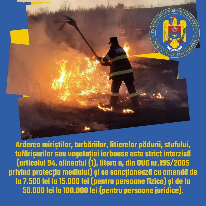 Interventiile pompierilor mehedinteni in minivacanta | imaginea 1