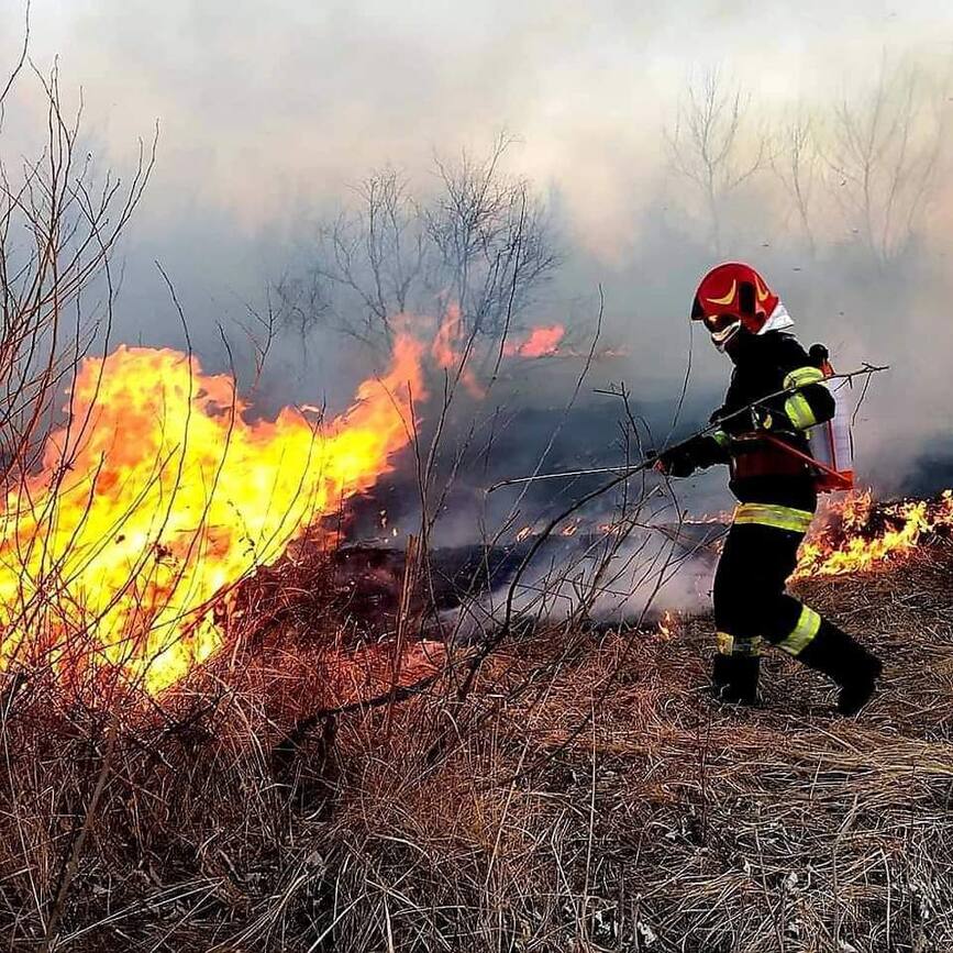 Val de incendii de vegetatie uscata in judetul Giurgiu | imaginea 1