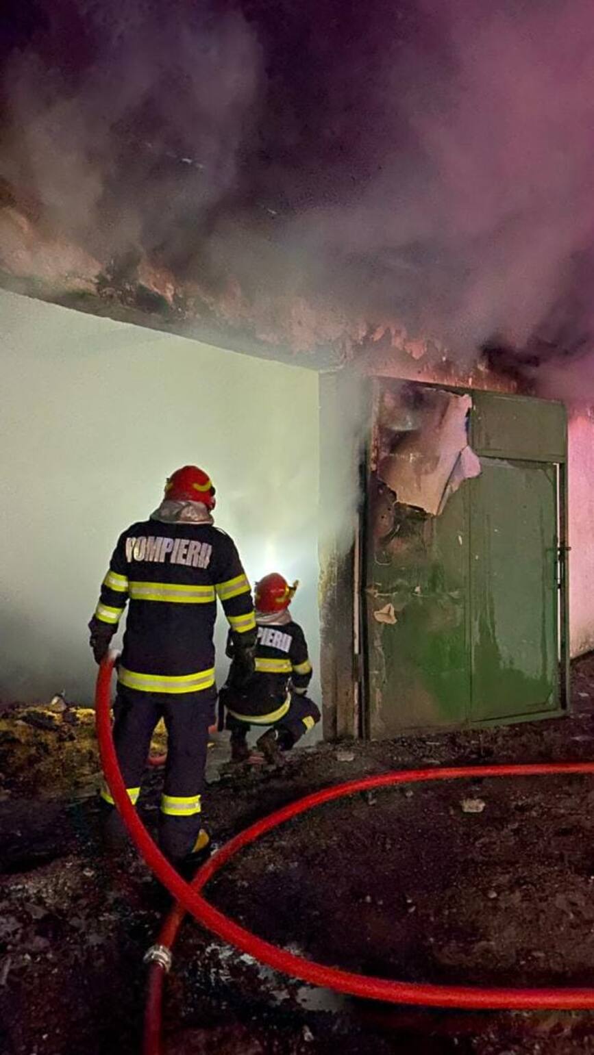 15 vitei salvati dintr un incendiu la o moara din vecinatate | imaginea 1