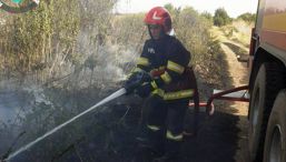 Incendii  accidente rutiere si alte misiuni | imaginea 1