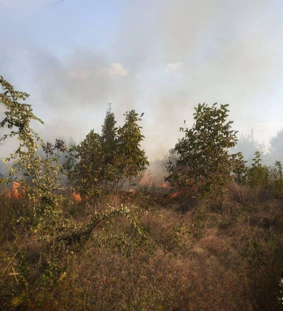 Incendii de vegetatie numeroase in judetul Giurgiu | imaginea 1