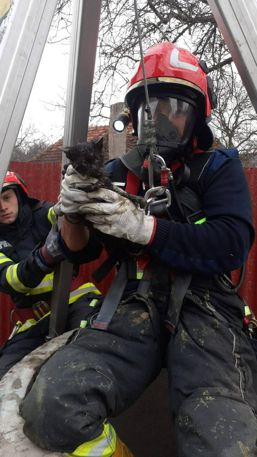 Un pisoias nazdravan salvat de pompieri | imaginea 1
