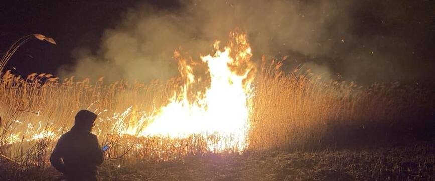 Zece hectare de vegetatie uscata si stuf au ars pe malul unui iaz | imaginea 1
