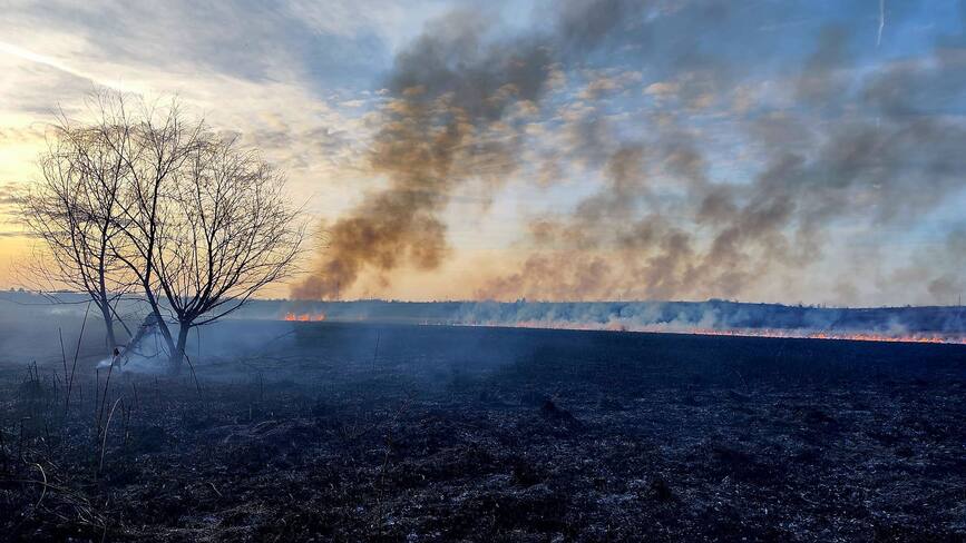 Numeroase incendii de vegetatie in judetul Giurgiu | imaginea 1