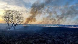 Numeroase incendii de vegetatie in judetul Giurgiu | imaginea 1