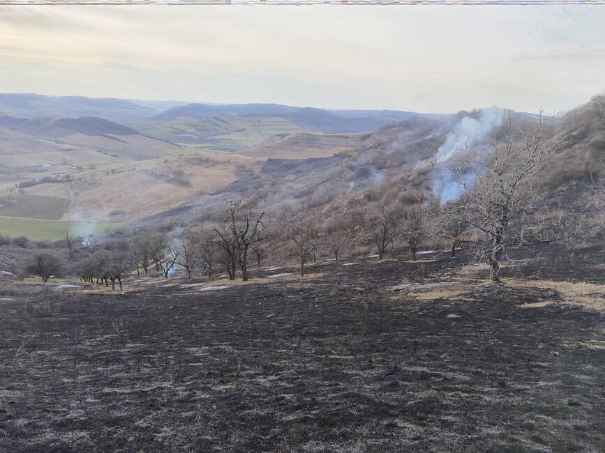 Pompierii mureseni  in alerta din cauza incendiilor de vegetatie uscata | imaginea 1