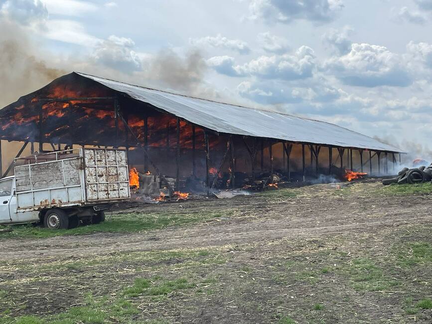 54 de vaci au pierit intr un incendiu la o ferma de animale | imaginea 1