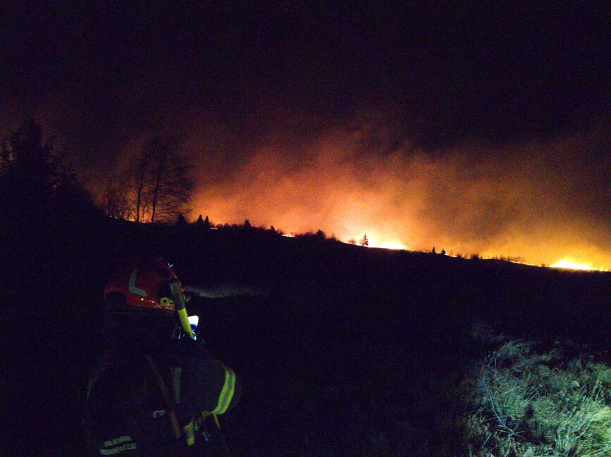 Ample interventii pentru stingerea incendiilor de vegetatie | imaginea 1