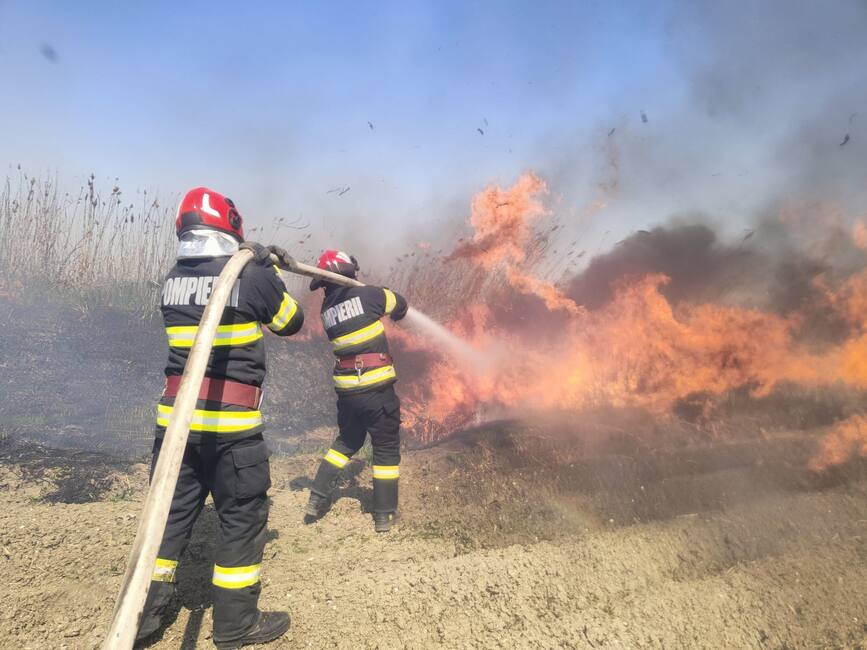 Au ars 7 000 mp de vegetatie uscata in judetul Giurgiu | imaginea 1