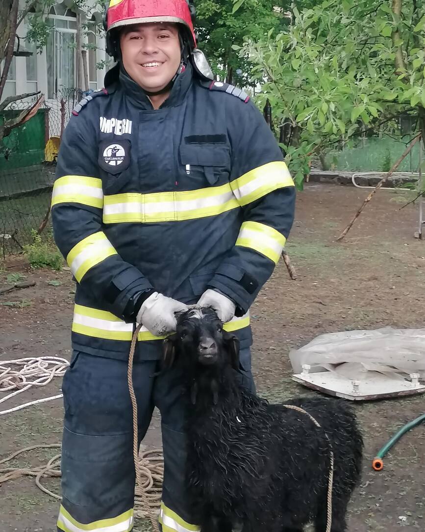 Cazuta in fantana  caprita a fost salvata de pompieri | imaginea 1