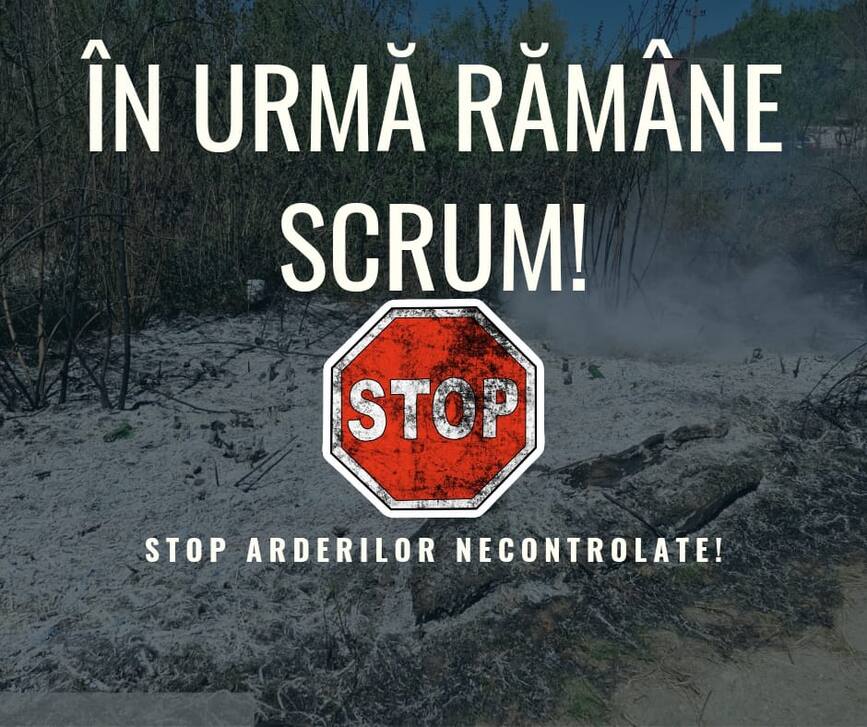 In urma ramane scrum | imaginea 1