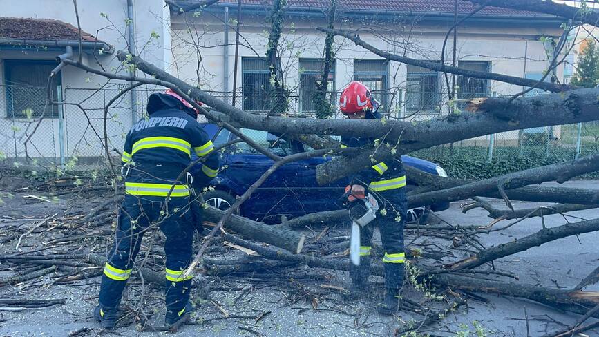 Interventii in urma efectelor produse de vantul puternic | imaginea 1