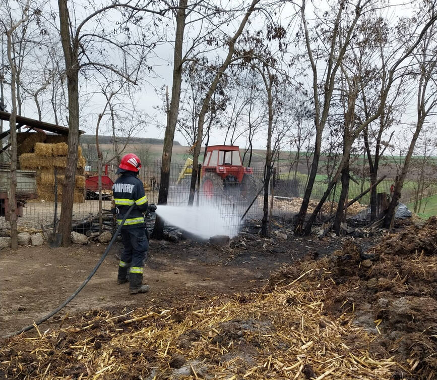 Un animal a murit intr un incendiu de gospodarie | imaginea 1