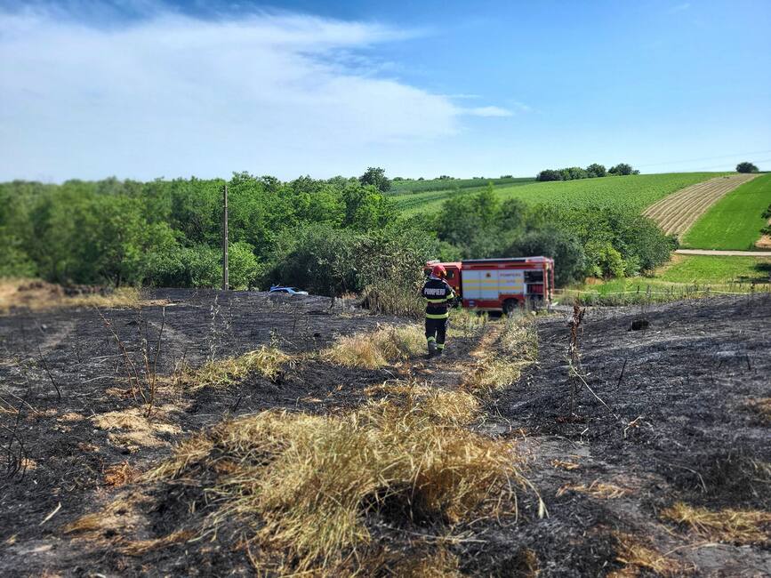 Incendiu de vegetatie uscata  extins la o casa | imaginea 1