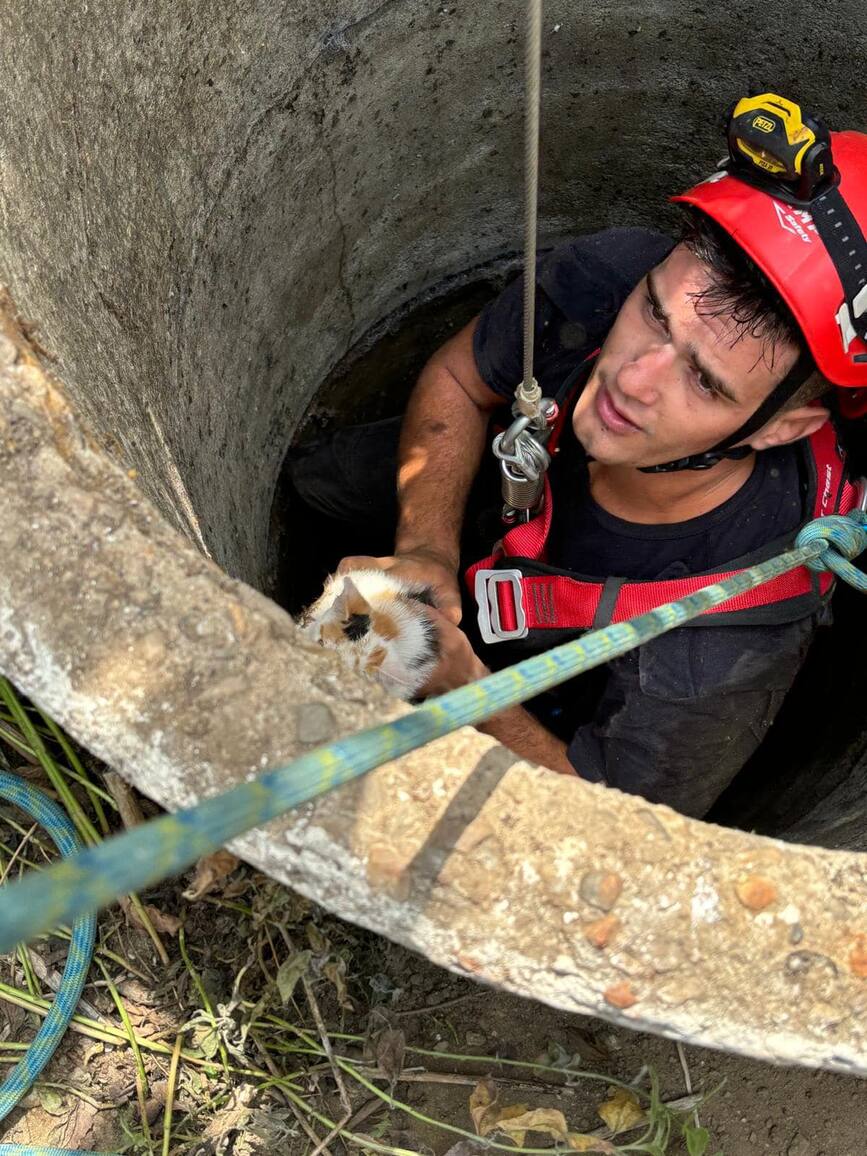 Pompierii aradeni au salvat o pisica cazuta in fantana | imaginea 1