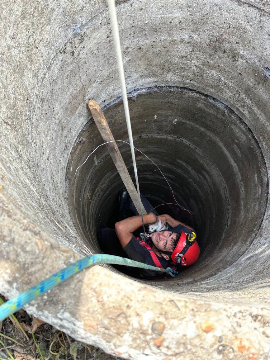 Pompierii aradeni au salvat o pisica cazuta in fantana | imaginea 2