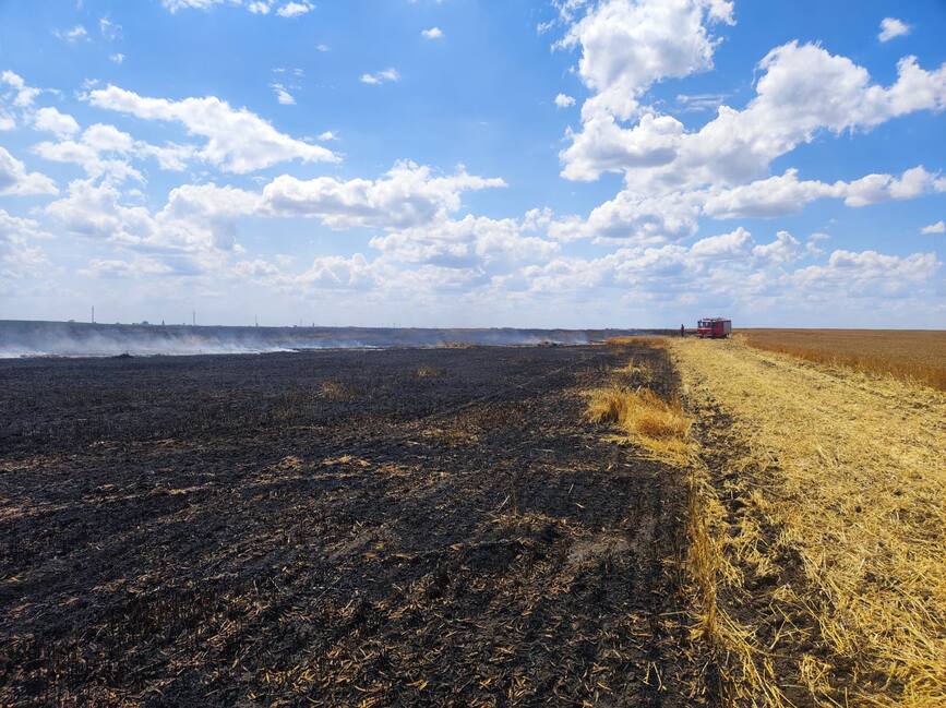 Primul incendiu de culturi agricole din aceasta vara | imaginea 1