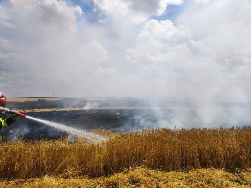 Primul incendiu de culturi agricole din aceasta vara | imaginea 2