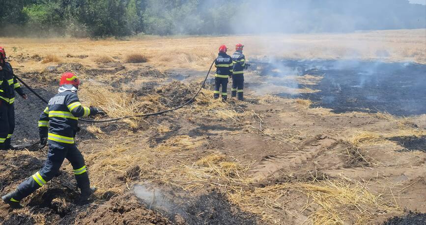 50 de hectare de grau au ars de la un foc in aer liber | imaginea 1