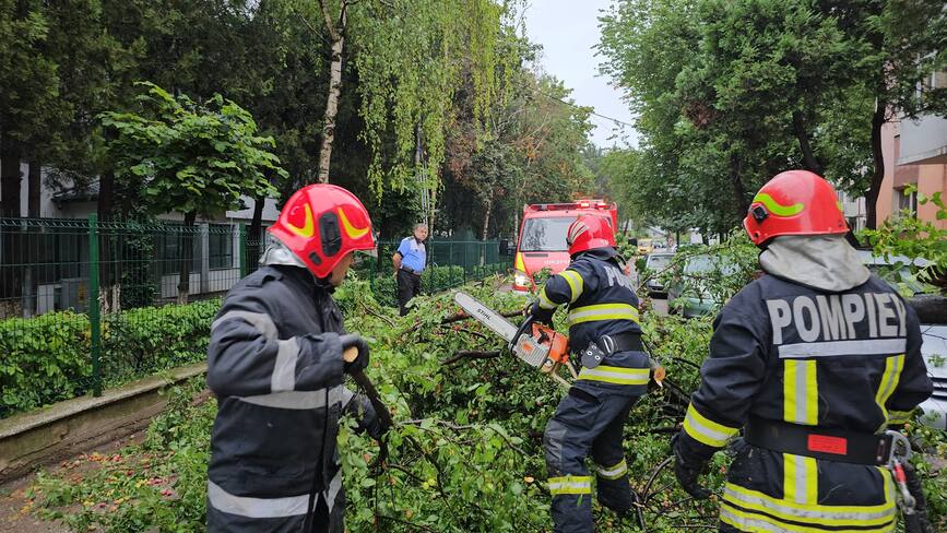 Copac rupt de vant  prabusit pe o strada din Botosani | imaginea 1