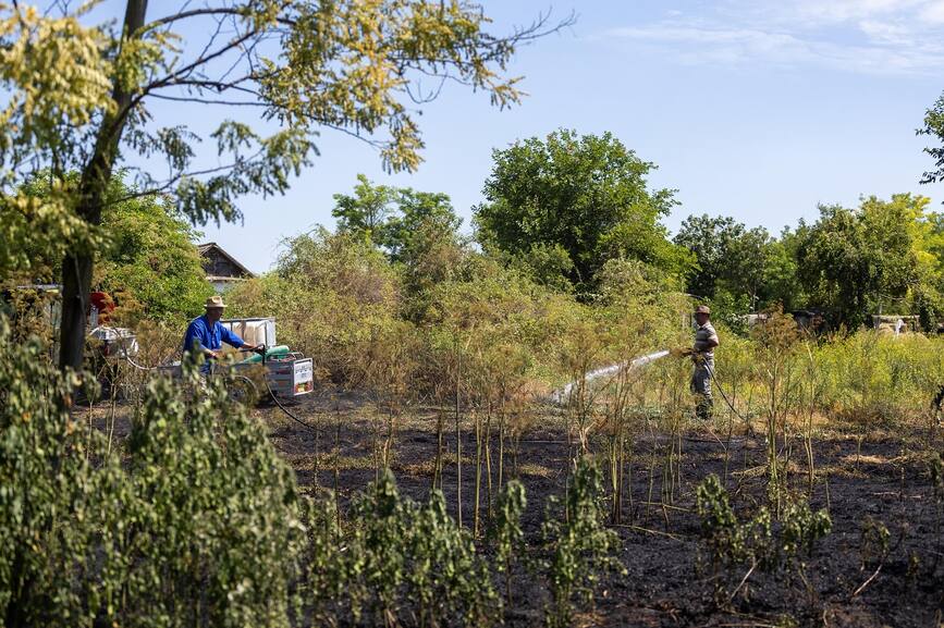 Incendiile de vegetatie aduc lacrimi si durere | imaginea 1