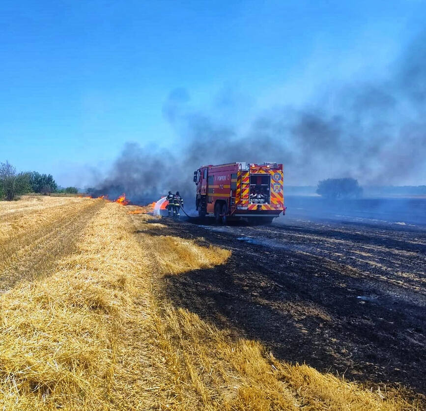 Incendiu de culturi de grau pe un camp | imaginea 1