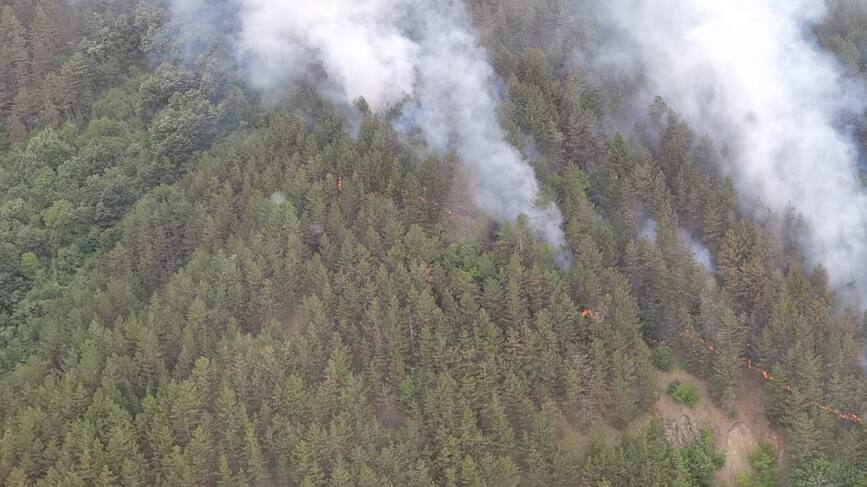 Incendiu de proportii in Parcul Natural Portile de Fier | imaginea 1